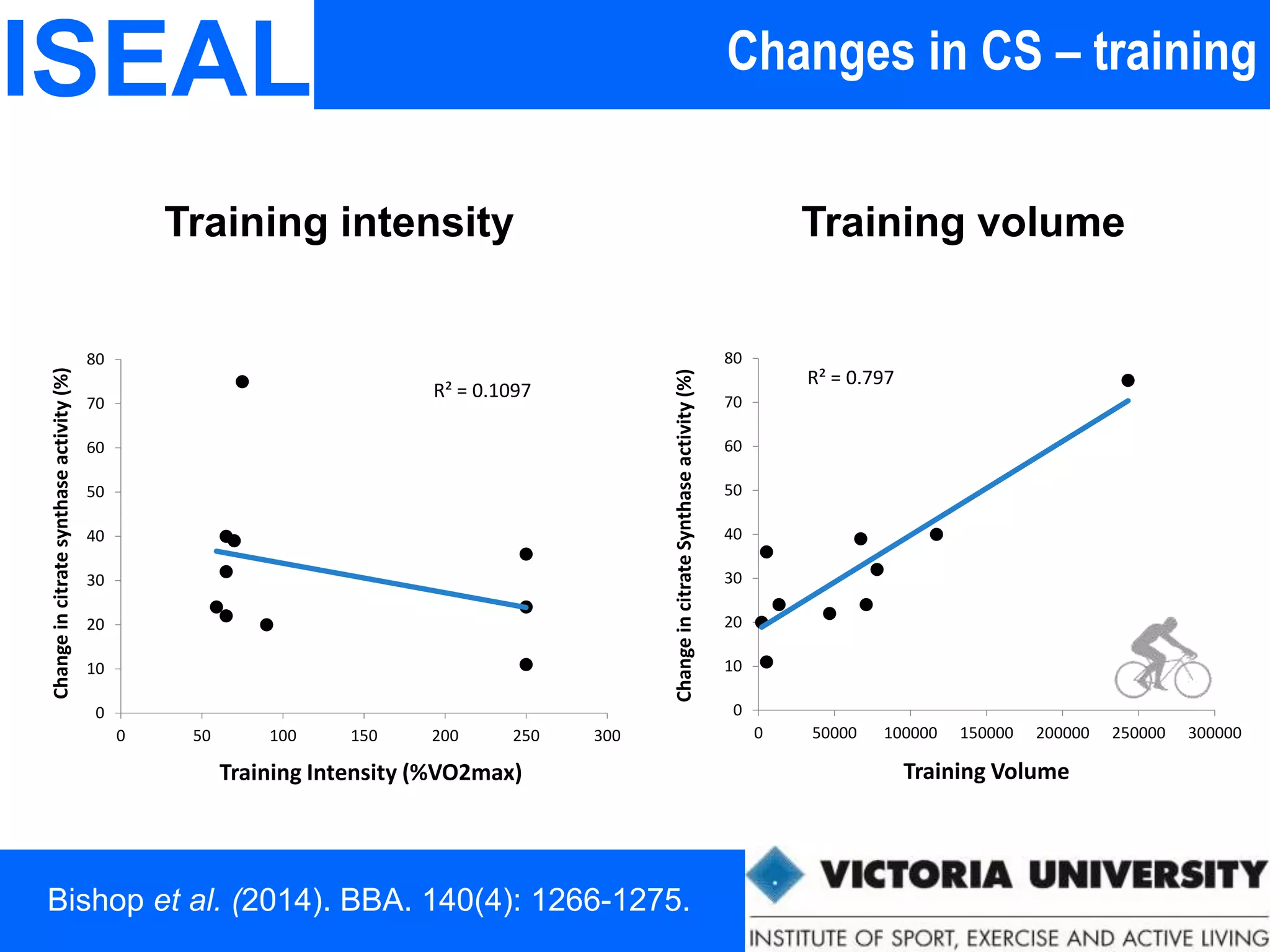 Changes in CS – trainingISEAL
Training intensity Training volume
R² = 0.797
0
10
20
30
40
50
60
70
80
0 50000 100000 150000 200000 250000 300000
ChangeincitrateSynthaseactivity(%)
Training Volume
R² = 0.1097
0
10
20
30
40
50
60
70
80
0 50 100 150 200 250 300
Changeincitratesynthaseactivity(%)
Training Intensity (%VO2max)
Bishop et al. (2014). BBA. 140(4): 1266-1275.
 