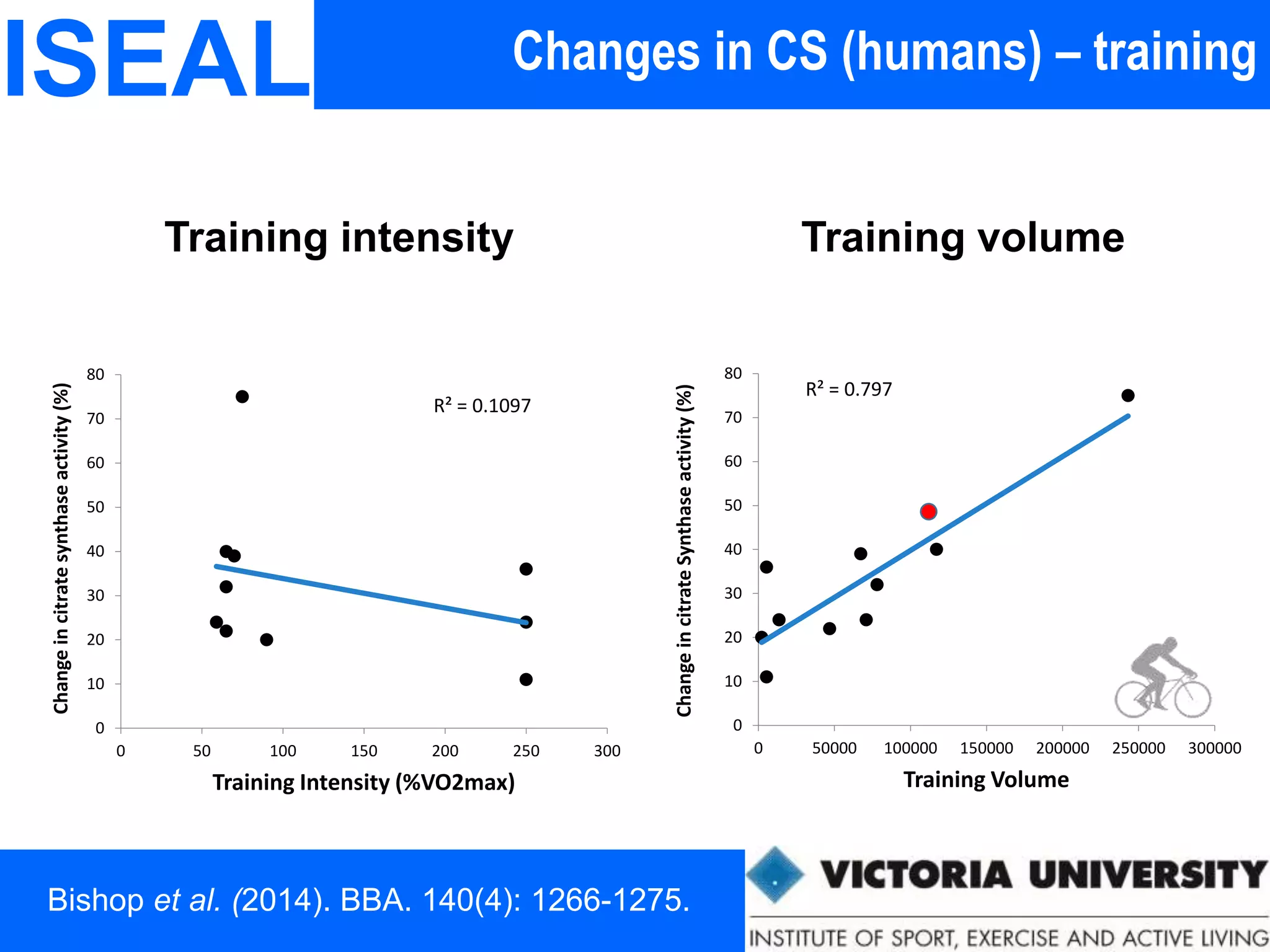 Changes in CS (humans) – trainingISEAL
Training intensity Training volume
R² = 0.797
0
10
20
30
40
50
60
70
80
0 50000 100000 150000 200000 250000 300000
ChangeincitrateSynthaseactivity(%)
Training Volume
R² = 0.1097
0
10
20
30
40
50
60
70
80
0 50 100 150 200 250 300
Changeincitratesynthaseactivity(%)
Training Intensity (%VO2max)
Bishop et al. (2014). BBA. 140(4): 1266-1275.
 