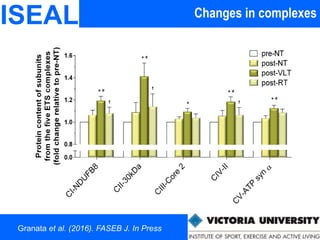 Changes in complexesISEAL
Granata et al. (2016). FASEB J. In Press
 