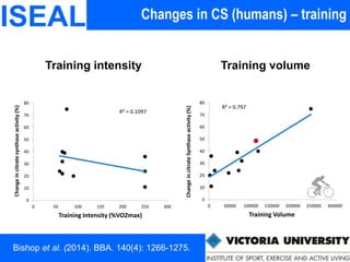 Changes in CS (humans) – trainingISEAL
Training intensity Training volume
R² = 0.797
0
10
20
30
40
50
60
70
80
0 50000 100000 150000 200000 250000 300000
ChangeincitrateSynthaseactivity(%)
Training Volume
R² = 0.1097
0
10
20
30
40
50
60
70
80
0 50 100 150 200 250 300
Changeincitratesynthaseactivity(%)
Training Intensity (%VO2max)
Bishop et al. (2014). BBA. 140(4): 1266-1275.
 