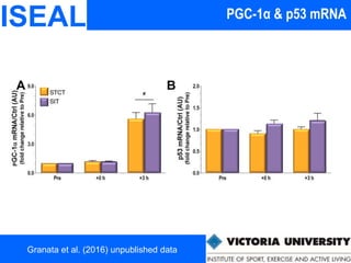 ISEAL
Granata et al. (2016) unpublished data
PGC-1α & p53 mRNA
 