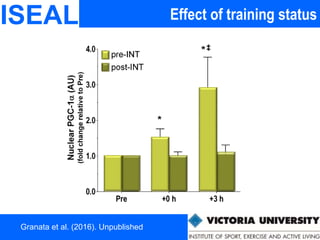 Effect of training statusISEAL
Granata et al. (2016). Unpublished
 