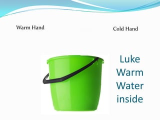 Warm Hand   Cold Hand




              Luke
             Warm
             Water
             inside
 