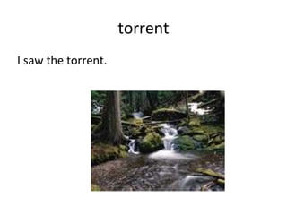 torrent I saw the torrent. 