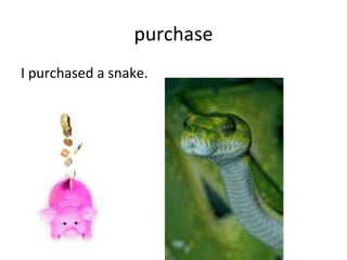 purchase I purchased a snake. 