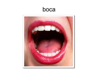 boca
 