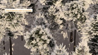 Click to play this video on YouTube
 