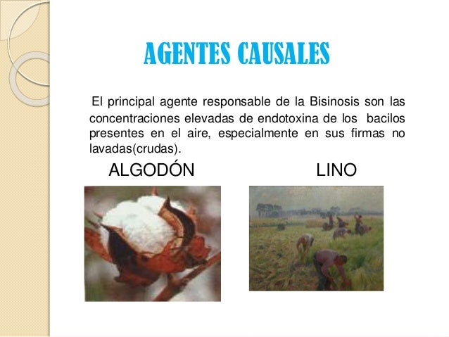 Bisinosis
