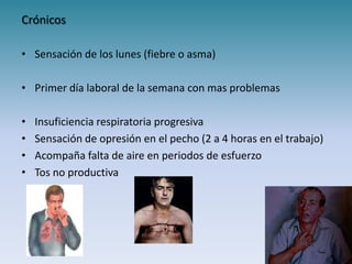 Crónicos

• Sensación de los lunes (fiebre o asma)

• Primer día laboral de la semana con mas problemas

•   Insuficiencia respiratoria progresiva
•   Sensación de opresión en el pecho (2 a 4 horas en el trabajo)
•   Acompaña falta de aire en periodos de esfuerzo
•   Tos no productiva
 