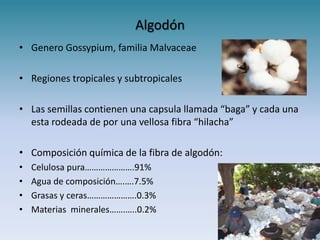 Algodón
• Genero Gossypium, familia Malvaceae

• Regiones tropicales y subtropicales

• Las semillas contienen una capsula llamada “baga” y cada una
  esta rodeada de por una vellosa fibra “hilacha”

• Composición química de la fibra de algodón:
•   Celulosa pura………………….91%
•   Agua de composición….….7.5%
•   Grasas y ceras………………….0.3%
•   Materias minerales…….…..0.2%
 