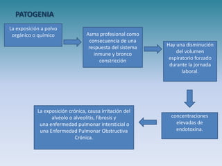 PATOGENIA
La exposición a polvo
 orgánico o químico               Asma profesional como
                                   consecuencia de una
                                   respuesta del sistema   Hay una disminución
                                     inmune y bronco           del volumen
                                       constricción         espiratorio forzado
                                                            durante la jornada
                                                                  laboral.




            La exposición crónica, causa irritación del
                  alvéolo o alveolitis, fibrosis y          concentraciones
             una enfermedad pulmonar intersticial o           elevadas de
             una Enfermedad Pulmonar Obstructiva              endotoxina.
                             Crónica.
 