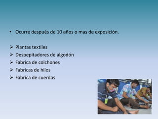 • Ocurre después de 10 años o mas de exposición.

   Plantas textiles
   Despepitadores de algodón
   Fabrica de colchones
   Fabricas de hilos
   Fabrica de cuerdas
 