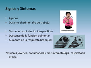 Signos y Síntomas

• Agudos
• Durante el primer año de trabajo:

• Síntomas respiratorios inespecíficos
• Descenso de la función pulmonar
• Aumento en la respuesta bronquial



*mujeres jóvenes, no fumadoras, sin sintomatología respiratoria
  previa.
 