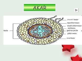 AKAR




       9
 