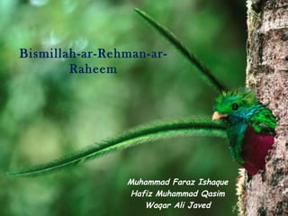Bismillah-ar-Rehman-ar-
        Raheem




                Muhammad Faraz Ishaque
                Hafiz Muhammad Qasim
                   Waqar Ali Javed
 