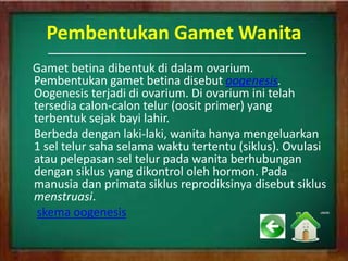 Pembentukan Gamet Wanita
Gamet betina dibentuk di dalam ovarium.
Pembentukan gamet betina disebut oogenesis.
Oogenesis terjadi di ovarium. Di ovarium ini telah
tersedia calon-calon telur (oosit primer) yang
terbentuk sejak bayi lahir.
Berbeda dengan laki-laki, wanita hanya mengeluarkan
1 sel telur saha selama waktu tertentu (siklus). Ovulasi
atau pelepasan sel telur pada wanita berhubungan
dengan siklus yang dikontrol oleh hormon. Pada
manusia dan primata siklus reprodiksinya disebut siklus
menstruasi.
skema oogenesis
 