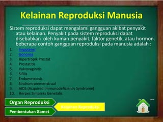 Kelainan Reproduksi Manusia
Sistem reproduksi dapat mengalami gangguan akibat penyakit
atau kelainan. Penyakit pada sistem reproduksi dapat
disebabkan oleh kuman penyakit, faktor genetik, atau hormon.
beberapa contoh gangguan reproduksi pada manusia adalah :
1. Impotensi
2. Gonorea
3. Hipertropik Prostat
4. Prostatitis
5. Vulvovaginitis
6. Sifilis
7. Endometriosis
8. Sindrom premenstrual
9. AIDS (Acquired Immunodeficiency Syndrome)
10. Herpes Simpleks Genetalis
Organ Reproduksi
Pembentukan Gamet
Kelainan Reproduksi
 