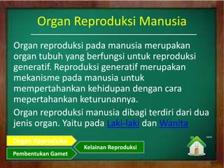 Organ Reproduksi Manusia
Organ reproduksi pada manusia merupakan
organ tubuh yang berfungsi untuk reproduksi
generatif. Reproduksi generatif merupakan
mekanisme pada manusia untuk
mempertahankan kehidupan dengan cara
mepertahankan keturunannya.
Organ reproduksi manusia dibagi terdiri dari dua
jenis organ. Yaitu pada Laki-laki dan Wanita
Organ Reproduksi
Pembentukan Gamet
Kelainan Reproduksi
 