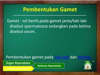 Pembentukan Gamet
Gamet : sel benih,pada gamet janta/laki-laki
disebut spermatozoa sedangkan pada betina
disebut ovum.
Pembentukan gamet pada Laki-laki dan Wanita
Organ Reproduksi
Pembentukan Gamet
Kelainan Reproduksi
 