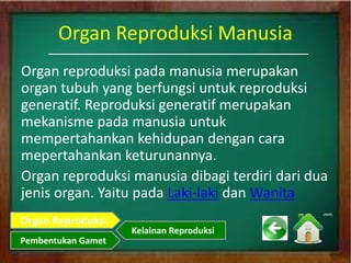 Organ Reproduksi Manusia
Organ reproduksi pada manusia merupakan
organ tubuh yang berfungsi untuk reproduksi
generatif. Reproduksi generatif merupakan
mekanisme pada manusia untuk
mempertahankan kehidupan dengan cara
mepertahankan keturunannya.
Organ reproduksi manusia dibagi terdiri dari dua
jenis organ. Yaitu pada Laki-laki dan Wanita
Organ Reproduksi
Pembentukan Gamet
Kelainan Reproduksi
 