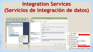 Integration Services
(Servicios de integración de datos)
 