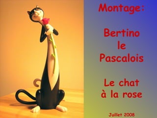 Montage: Bertino le Pascalois Le chat à la rose Juillet 2008 