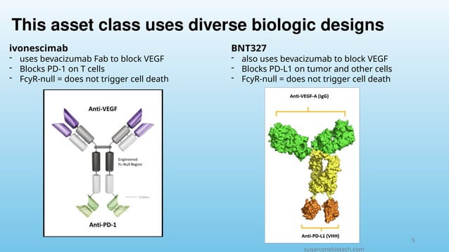 PD1 x VEGF bispecific landscape: examining Hope versus Hype | PPTX