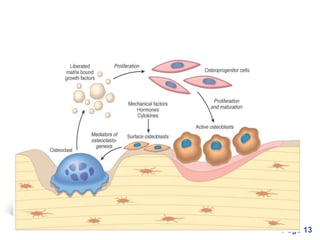 Powerpoint Templates
Page 13
 