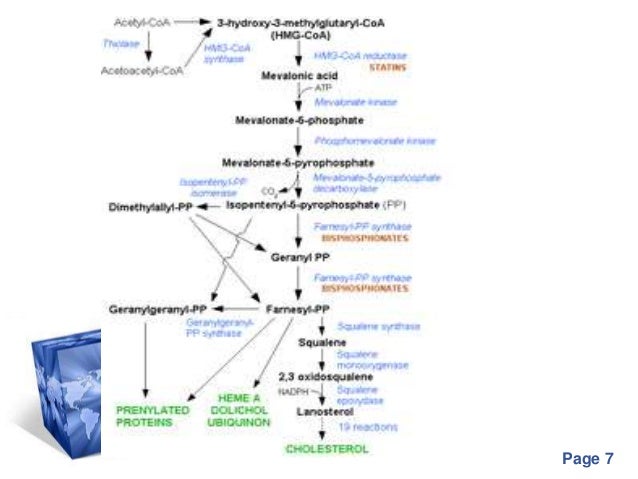 Bisphosphonates Bisphosphonates