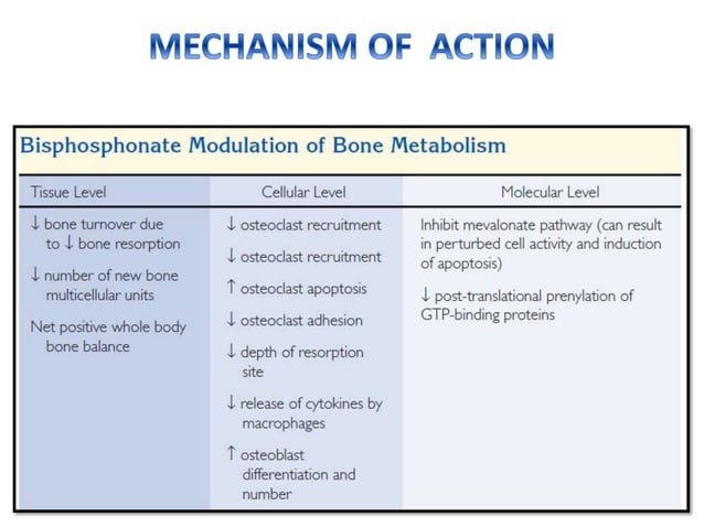 Bisphosphonates | PPTX | Bone and Joint Conditions | Diseases and ...
