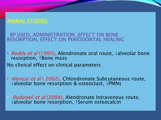ANIMAL STUDIES:
BP USED, ADMINISTRATION ,EFFECT ON BONE
RESORPTION, EFFECT ON PERIODONTAL HEALING
• Reddy et al (1995), Alendronate oral route, ↓alveolar bone
resorption, ↑Bone mass
No clinical effect on clinical parameters
• Alencar et al ( 2002), Chlondronate Subcutaneous route,
↓alveolar bone resorption & osteoclast, ↓PMNs
• Buduneli et al (2004), Alendronate Intravenous route,
↓alveolar bone resorption, ↑Serum osteocalcin
 