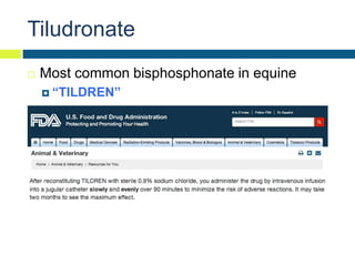 Tildren Injection Bisphosphonate Therapy in Horses | PPTX