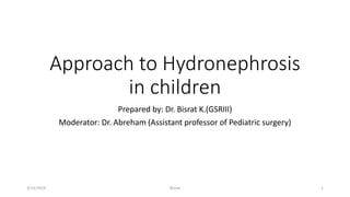 Approach to Hydronephrosis
in children
Prepared by: Dr. Bisrat K.(GSRIII)
Moderator: Dr. Abreham (Assistant professor of Pediatric surgery)
3/13/2024 1
Bisrat
 