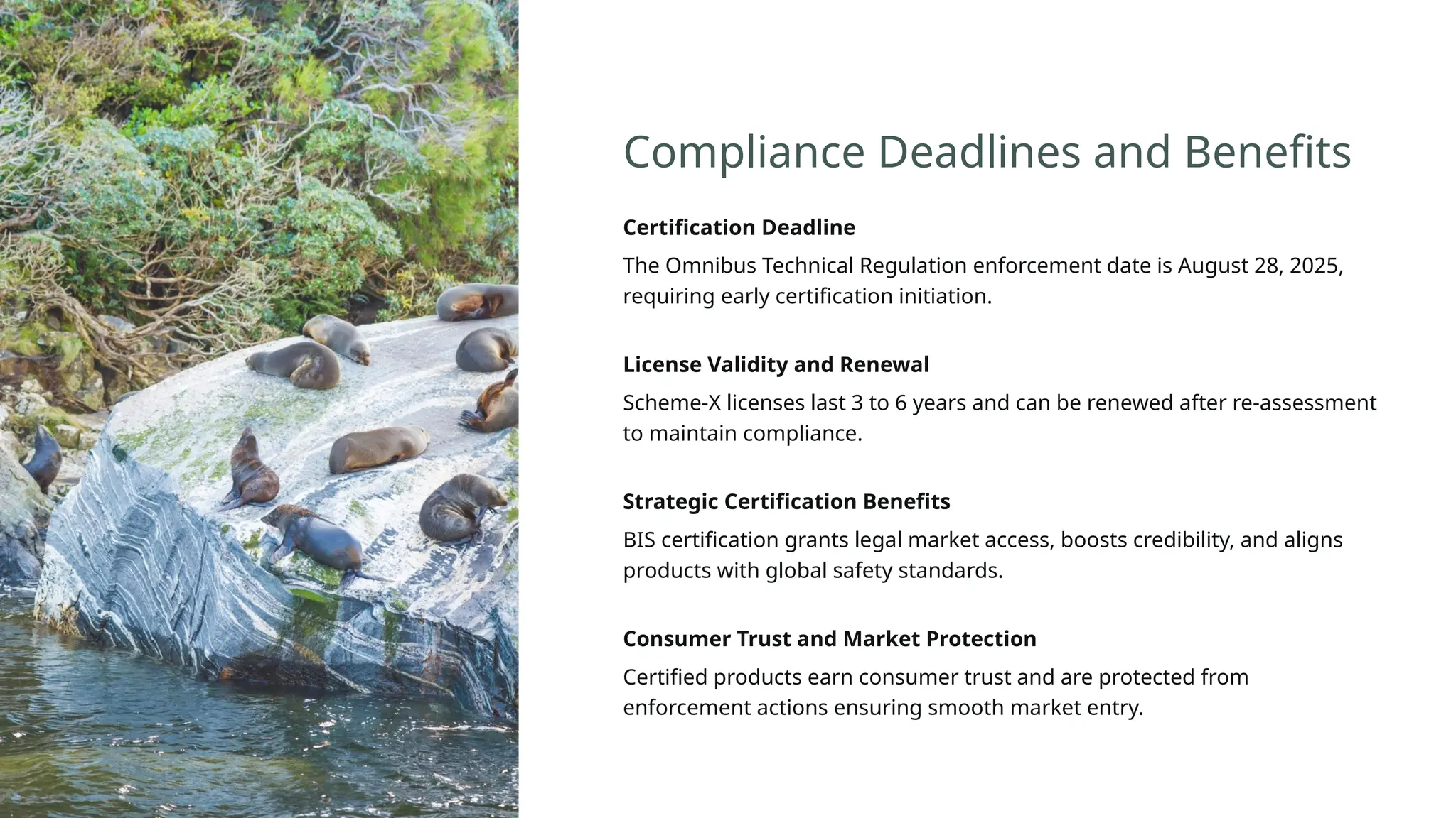 Compliance Deadlines and Benefits
Certification Deadline
The Omnibus Technical Regulation enforcement date is August 28, 2025,
requiring early certification initiation.
License Validity and Renewal
Scheme-X licenses last 3 to 6 years and can be renewed after re-assessment
to maintain compliance.
Strategic Certification Benefits
BIS certification grants legal market access, boosts credibility, and aligns
products with global safety standards.
Consumer Trust and Market Protection
Certified products earn consumer trust and are protected from
enforcement actions ensuring smooth market entry.
 