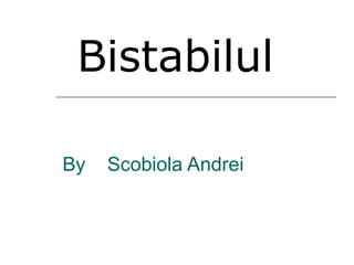 By Scobiola Andrei
Bistabilul
 