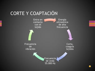 CORTE Y COAPTACIÓN
Energía
ultrasónica
de alta
frecuencia
Corta,
coagula
tejidos
Frecuencia
de onda
55.000 Hz
Frecuencia
de
vibración
Entra en
contacto
con el
tejido
 