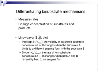 Bisubstrat Enzyme.ppt