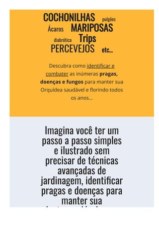 COCHONILHAS        pulgões     
  Ácaros        MARIPOSAS     
  diabrótica        Trips       
PERCEVEJOS        etc...
Descubra como identi몭car e
combater as inúmeras pragas,
doenças e fungos para manter sua
Orquídea saudável e 몭orindo todos
os anos...
Imagina você ter um
passo a passo simples
e ilustrado sem
precisar de técnicas
avançadas de
jardinagem, identi몭car
pragas e doenças para
manter sua
planta saudável e com
 