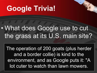 Google Trivia! 
• 
What does Google use to cut the grass at its U.S. main site? 
The operation of 200 goats (plus herder and a border collie) is kind to the environment, and as Google puts it: "A lot cuter to watch than lawn mowers.  