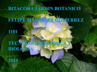 BITACORA JARDIN BOTANICO
FELIPE MARTINEZ GUTIERREZ
1101
TECNOLOGIA, QUIMICA Y
BIOLOGIA
2014
 