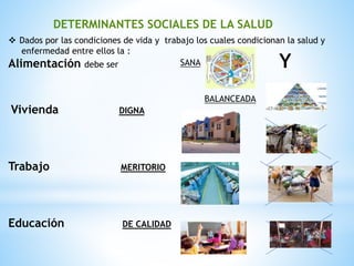 DETERMINANTES SOCIALES DE LA SALUD
BALANCEADA
SANA
 Dados por las condiciones de vida y trabajo los cuales condicionan la salud y
enfermedad entre ellos la :
Alimentación debe ser
Vivienda DIGNA
Trabajo MERITORIO
Educación DE CALIDAD
Y
 