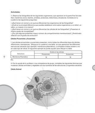 Actividades:

     1. Observa las fotografías de los siguientes organismos, que aparecen en la parte final de este
     libro: bacterias cocos, bacilos, amebas, protozoos, diatomeas y levaduras. Contesta en tu
     cuaderno las siguientes preguntas:

     • ¿Qué tienen en común y en qué se diferencian los organismos de las fotografías?
     • ¿Cuál es la principal diferencia que puedes establecer entre estos organismos y un árbol, un
     ratón, un insecto o tú mismo?
     • ¿Qué tienen en común y en qué se diferencian las células de las fotografías? ¿Presentan el
     mismo grado de complejidad?
     • ¿Por qué algunas presentan mayor número de compartimentos membranosos? ¿Tendrá esto
     relación con el grado de evolución?

     Células Procariotes y Eucariotes

     I. Las células procariotes y eucariotes presentan, como todas los diferentes tipos de células,
     diferencias y semejanzas. Dibuja en tu cuaderno una tabla en que aparezcan las diferentes
     estructuras celulares (por ejemplo: membrana plasmática), y completa si éstas existen o no
     en cada tipo de célula. El siguiente ejemplo te puede ayudar para dibujar tu tabla

                                                             Existe en las células:
             Estructura                        Procarionte                            Eucarionte
12     Membrana Plasmática                          SI                                    SI
     Etc.

     II. Con la ayuda de tu profesor y tus compañeros de grupo, completa las siguientes láminas que
     muestran células animales y vegetales con los nombres de las estructuras y organelos celulares:

     Célula Animal
 