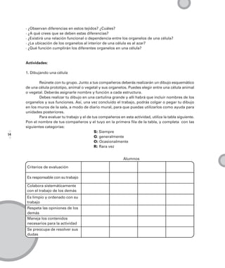 · ¿Observan diferencias en estos tejidos? ¿Cuáles?
     · ¿A qué crees que se deben estas diferencias?
     · ¿Existirá una relación funcional o dependencia entre los organelos de una célula?
     · ¿La ubicación de los organelos al interior de una célula es al azar?
     · ¿Qué función cumplirán los diferentes organelos en una célula?


     Actividades:

     1. Dibujando una célula

             Reúnete con tu grupo. Junto a tus compañeros deberás realizarán un dibujo esquemático
     de una célula prototipo, animal o vegetal y sus organelos. Puedes elegir entre una célula animal
     o vegetal. Deberás asignarle nombre y función a cada estructura.
             Debes realizar tu dibujo en una cartulina grande y allí habrá que incluir nombres de los
     organelos y sus funciones. Así, una vez concluido el trabajo, podrás colgar o pegar tu dibujo
     en los muros de la sala, a modo de diario mural, para que puedas utilizarlos como ayuda para
     unidades posteriores.
             Para evaluar tu trabajo y el de tus compañeros en esta actividad, utiliza la tabla siguiente.
     Pon el nombre de tus compañeros y el tuyo en la primera fila de la tabla, y completa con las
     siguientes categorías:
                                              S: Siempre
14
                                              G: generalmente
                                              O: Ocasionalmente
                                              R: Rara vez


                                                               Alumnos

     Criterios de evaluación

     Es responsable con su trabajo

     Colabora sistemáticamente
     con el trabajo de los demás
     Es limpio y ordenado con su
     trabajo
     Respeta las opiniones de los
     demás
     Maneja los contenidos
     necesarios para la actividad
     Se preocupa de resolver sus
     dudas
 