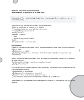 Moléculas inorgánicas en los seres vivos
¿Qué moléculas se encuentran en los seres vivos?


Recuerda que: Una molécula es aquella partícula compuesta por dos o más átomos que se
mantienen unidos.


Realizaremos una práctica sencilla. Para ello necesitaremos:
· Hojas de árboles que se encuentren en el suelo.
· Trozos de carne de vacuno, ave, cerdo, pescado, etc.
· Trozos de hongos: champiñones.
· Fruta y /o verdura
· Mechero o cocinilla
· 1 plato
· 1 recipiente que soporte el calor
· Rejilla
· Pinzas de madera o perros de ropa

Procedimiento:
Coloca un trozo de hoja de árbol al interior del recipiente y colócalo al fuego. Sobre el recipiente,
ubica un plato:
                                                                                                        17
· ¿Qué observas en el plato?
· ¿Qué compuesto químico se obtiene al calentar la muestra? Registra en tu cuaderno las
observaciones

Realiza el mismo procedimiento para todas las muestras por separado. Registra en tu cuaderno
las observaciones
· La observación inicial ¿se presenta en todas las muestras?
· ¿Qué puedes concluir?

Procede de la misma forma que en los pasos anteriores, pero en esta oportunidad, calienta las
muestras hasta quemarlas.
· ¿Qué observas en la muestras?
· ¿Qué posible elemento se puede reconocer?
· ¿Este elemento se presenta en todas las muestras?
· ¿De que estarán compuestos los vapores que emanan de la combustión?

¿Qué puedes concluir de esta actividad? Escribe en tu cuaderno tus conclusiones con tus propias
palabras
 