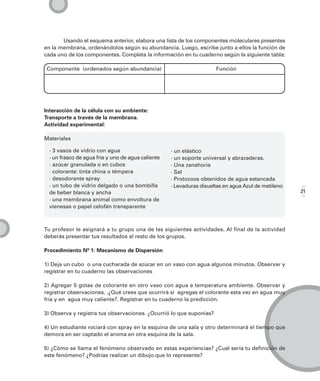 Usando el esquema anterior, elabora una lista de los componentes moleculares presentes
en la membrana, ordenándolos según su abundancia. Luego, escribe junto a ellos la función de
cada uno de los componentes. Completa la información en tu cuaderno según la siguiente tabla:

 Componente (ordenados según abundancia)                              Función




Interacción de la célula con su ambiente:
Transporte a través de la membrana.
Actividad experimental:

Materiales

  · 3 vasos de vidrio con agua                      · un elástico
  · un frasco de agua fría y uno de agua caliente   · un soporte universal y abrazaderas.
  · azúcar granulada o en cubos                     · Una zanahoria
  · colorante: tinta china o témpera                · Sal
  · desodorante spray                               · Protozoos obtenidos de agua estancada
  · un tubo de vidrio delgado o una bombilla        · Levaduras disueltas en agua Azul de metileno
  de beber blanca y ancha                                                                            21
  · una membrana animal como envoltura de
  vienesas o papel celofán transparente



Tu profesor le asignará a tu grupo una de las siguientes actividades. Al final de la actividad
deberás presentar tus resultados al resto de los grupos.

Procedimiento Nº 1: Mecanismo de Dispersión

1) Deja un cubo o una cucharada de azúcar en un vaso con agua algunos minutos. Observar y
registrar en tu cuaderno las observaciones

2) Agregar 5 gotas de colorante en otro vaso con agua a temperatura ambiente. Observar y
registrar observaciones. .¿Qué crees que ocurrirá si agregas el colorante esta vez en agua muy
fría y en agua muy caliente?. Registrar en tu cuaderno la predicción.

3) Observa y registra tus observaciones. ¿Ocurrió lo que suponías?

4) Un estudiante rociará con spray en la esquina de una sala y otro determinará el tiempo que
demora en ser captado el aroma en otra esquina de la sala.

5) ¿Cómo se llama el fenómeno observado en estas experiencias? ¿Cual sería tu definición de
este fenómeno? ¿Podrías realizar un dibujo que lo represente?
 