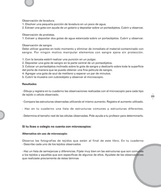 Observación de levadura.
1. Disolver una pequeña porción de levadura en un poco de agua.
2. Extraer una gota con ayuda de un gotario y depositar sobre un portaobjetos. Cubrir y observar.

Observación de protistas.
1. Extraer y depositar dos gotas de agua estancada sobre un portaobjetos. Cubrir y observar.

Observación de sangre.
Debe utilizar guantes en todo momento y eliminar de inmediato el material contaminado con
sangre. Por ningún motivo manipular elementos con sangre ajena sin protección.

1. Con la lanceta estéril realizar una punción en un pulgar.
2. Depositar una gota de sangre en la parte central de un portaobjetos.
3. Colocar un portaobjetos inclinado sobre la gota de sangre y deslizarlo sobre toda la superficie
del porta de manera que se pueda obtener una fina película de sangre.
4. Agregar una gota de azul de metileno y esperar un par de minutos.
5. Cubrir la muestra con cubreobjeto y observar al microscopio.

Resultados

· Dibuja y registra en tu cuaderno las observaciones realizadas con el microscopio para cada tipo
de tejido o célula observado.
                                                                                                     09
· Compara las estructuras observadas utilizando el mismo aumento. Registra el aumento utilizado.

· Haz en tu cuaderno una lista de estructuras comunes y estructuras diferentes.

· Determina el tamaño real de las células observadas. Pide ayuda a tu profesor para determinarlo.



Si tu liceo o colegio no cuenta con microscopios:

Alternativa sin uso de microscopio:

Observa las fotografías de tejidos que están al final de este libro. En tu cuaderno
· Describe cada uno de los tejidos observados

· Haz un lista de semejanzas y diferencias. Fíjate muy bien en las estructuras que son comunes
a los tejidos y aquellas que son específicas de algunos de ellos. Ayúdate de las observaciones
que realizaste previamente de éstas láminas
 