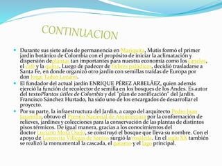  Durante sus siete años de permanencia en Mariquita, Mutis formó el primer
jardín botánico de Colombia con el propósito de iniciar la aclimatación y
dispersión deplantas tan importantes para nuestra economía como los canelos,
el café y la quina. Luego de padecer de fiebres palúdicas, decidió trasladarse a
Santa Fe, en donde organizó otro jardín con semillas traídas de Europa por
don Jorge Tadeo Lozano.
 El fundador del actual jardín ENRIQUE PÉREZ ARBELÁEZ, quien además
ejerció la función de recolector de semilla en los bosques de los Andes. Es autor
del textoPlantas útiles de Colombia y del "plan de zonificación" del Jardín.
Francisco Sánchez Hurtado, ha sido uno de los encargados de desarrollar el
proyecto.
 Por su parte, la infraestructura del Jardín, a cargo del arquitecto Pedro Juan
Jaramillo, obtuvo el Premio Nacional de Arquitectura por la conformación de
relieves, jardines y colecciones para la conservación de las plantas de distintos
pisos térmicos. De igual manera, gracias a los conocimientos del
doctor Luciano Mora Osejo, se construyó el bosque que lleva su nombre. Con el
apoyo de Lorencita Villegas de Santos surgió la rosaleda. En el siglo XX también
se realizó la monumental la cascada, el páramo y el lago principal.
 
