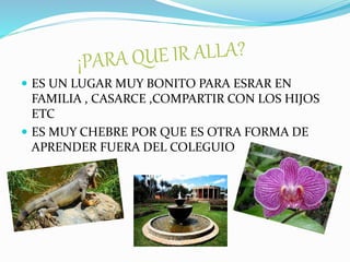  ES UN LUGAR MUY BONITO PARA ESRAR EN
FAMILIA , CASARCE ,COMPARTIR CON LOS HIJOS
ETC
 ES MUY CHEBRE POR QUE ES OTRA FORMA DE
APRENDER FUERA DEL COLEGUIO
 