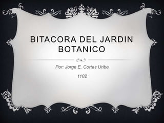 BITACORA DEL JARDIN
BOTANICO
Por: Jorge E. Cortes Uribe
1102
 