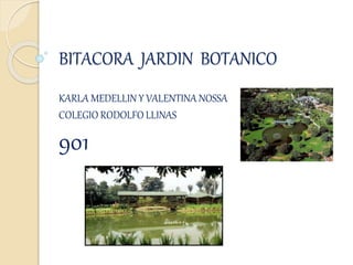 BITACORA JARDIN BOTANICO
KARLA MEDELLIN Y VALENTINA NOSSA
COLEGIO RODOLFO LLINAS
901
 